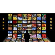 網(wǎng)絡(luò)搜索如何吸引消費(fèi)者 解密中秘傳媒的策略